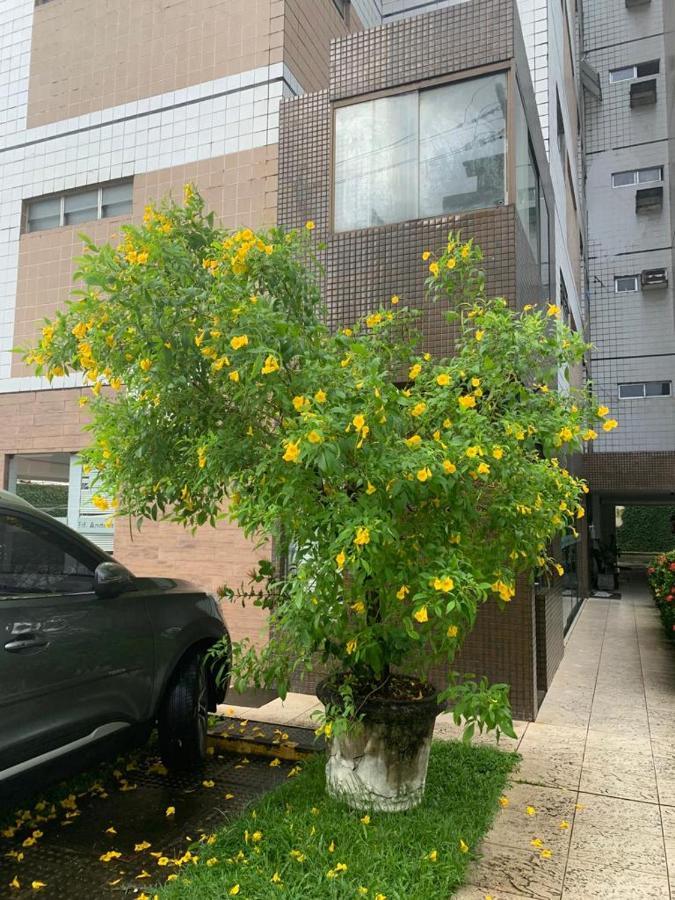 Apartamento Inteiro Perto Da Cidade Universitaria Recife Exterior foto